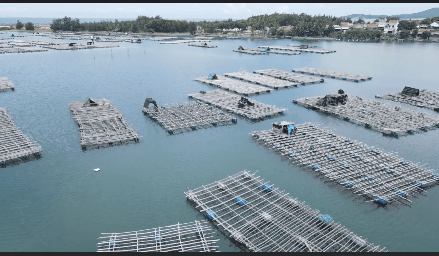 Aquaculture